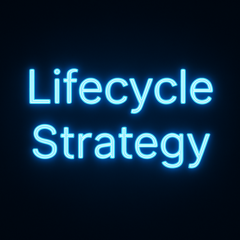 Lifecycle Strategy Organizational Physics