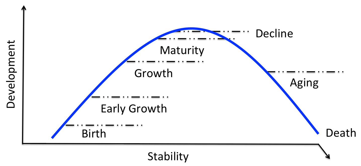 Organizational Life Cycle Chart