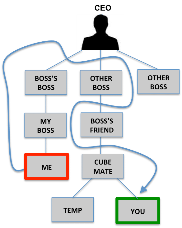 organizational structure compare and contrast