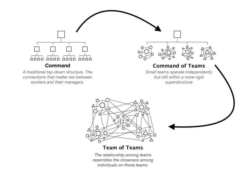 Functional Top Down Organizational Chart