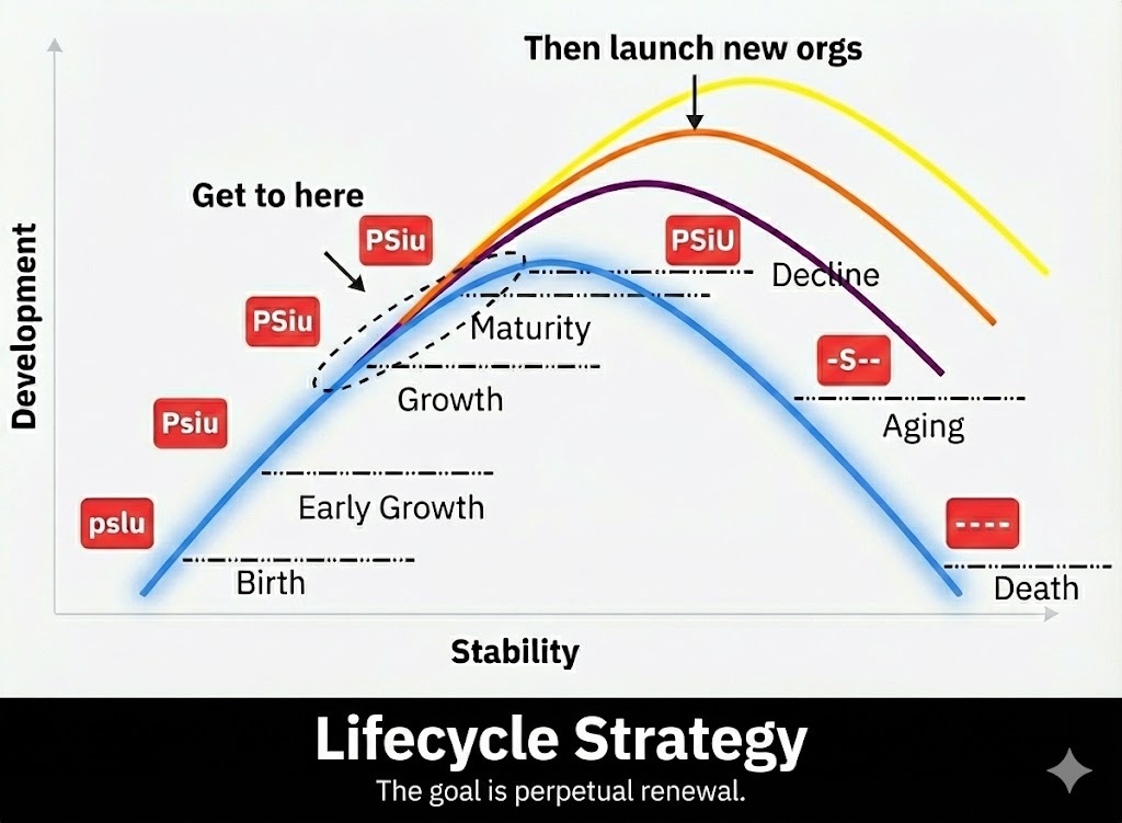 Lifecycle Strategy Perpetual Renewal