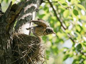 Dont Treat All Decisions The Same