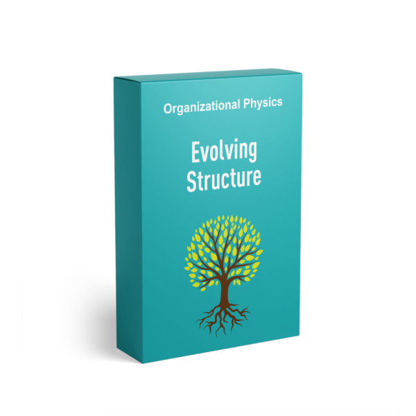 The 5 Steps to Designing a New Structure - Organizational Physics by ...