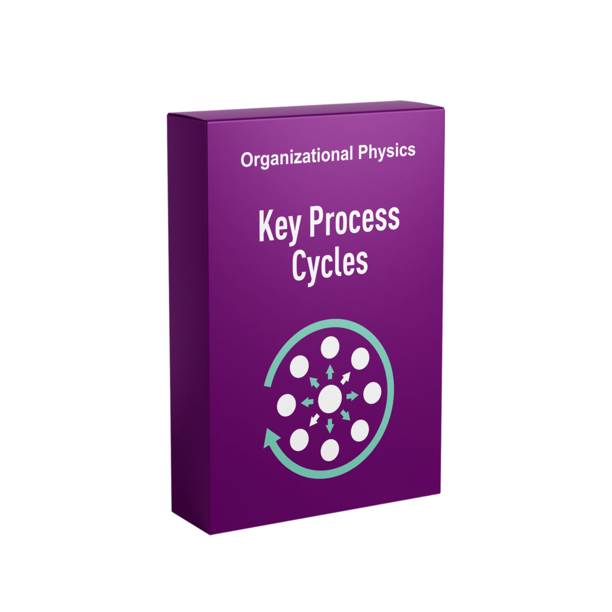 Key Process Cycles - Organizational Physics by Lex Sisney