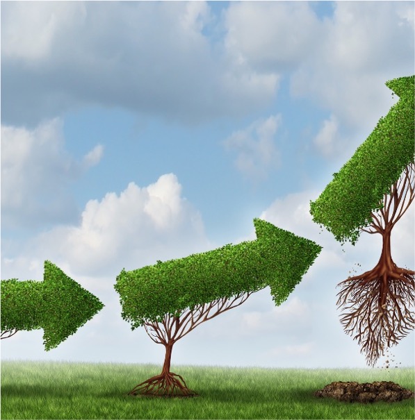 The Second Business Unit: How to Manage It